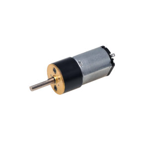 C12**---14MS---C1215F33-0128